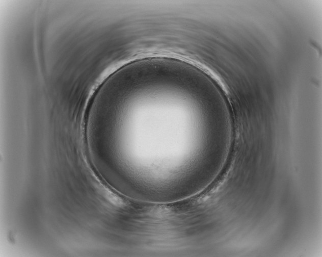 X0000094421525200711081127