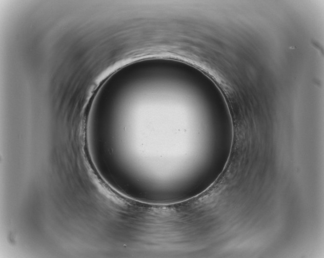 X0000094421526200711081127