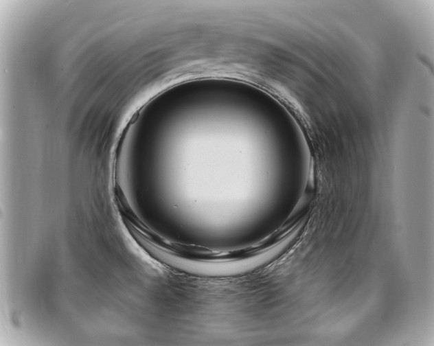 X0000094421528200711081127