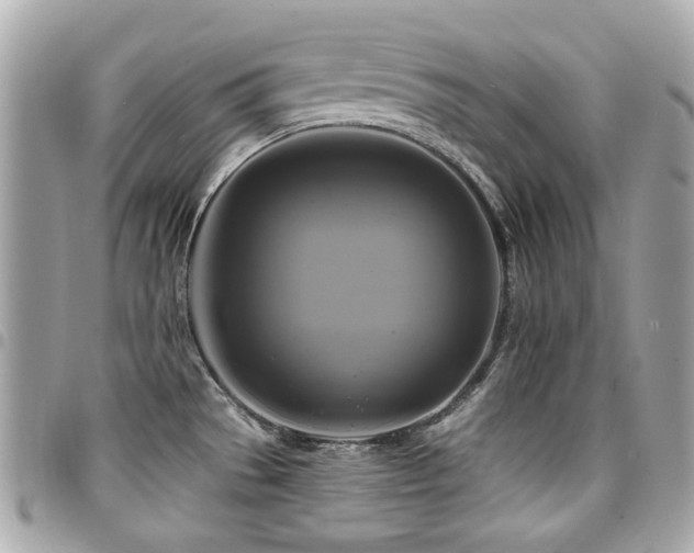 X0000094421529200711081127