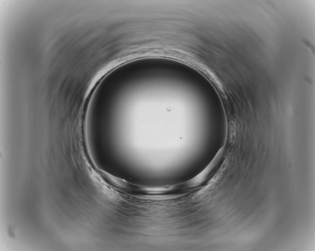 X0000094421530200711081127