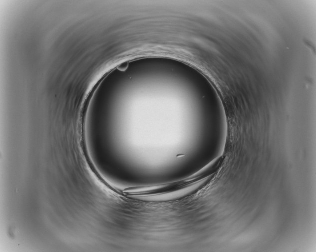 X0000094421531200711081127