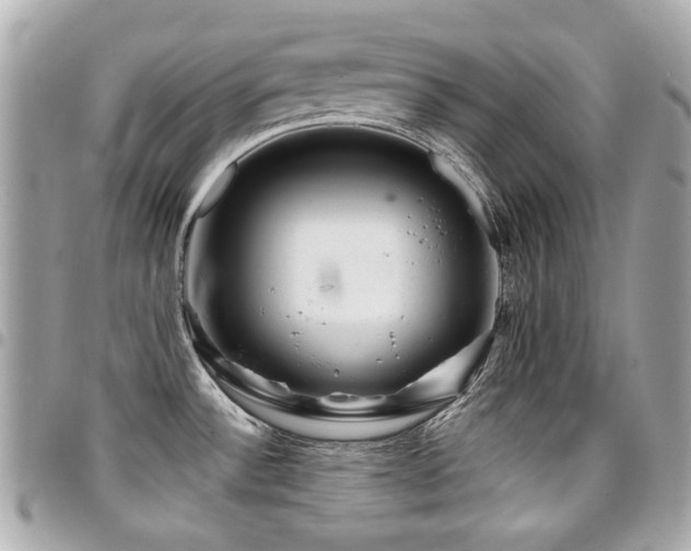 X0000094421532200711081127