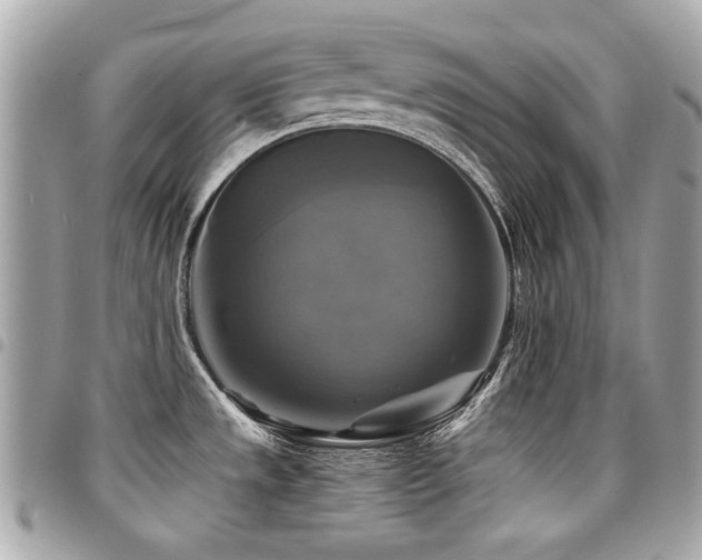 X0000094421533200711081127