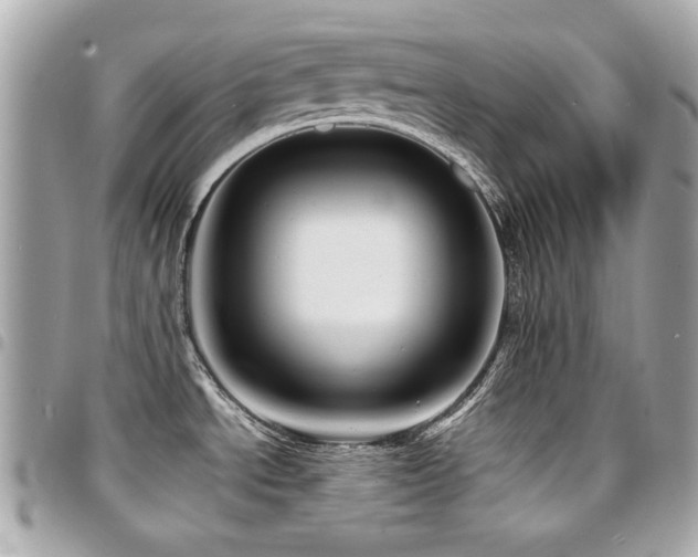 X0000094421534200711081127