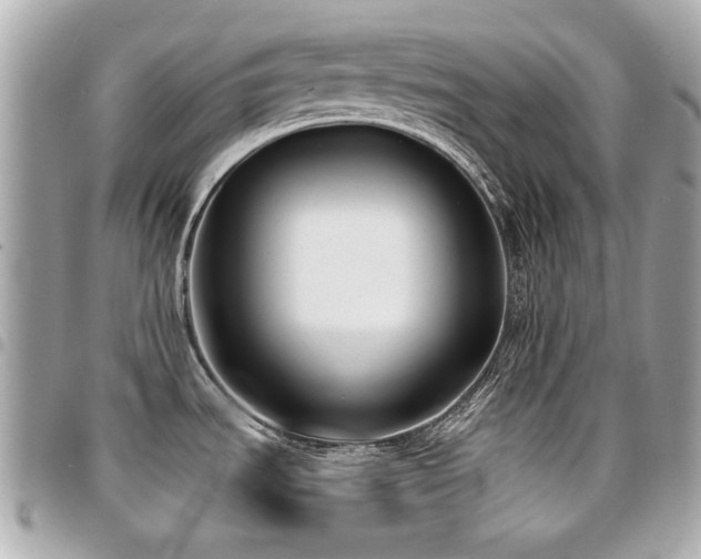X0000094421535200711081127