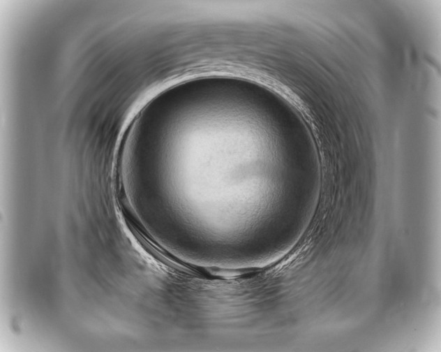 X0000094421536200711081127