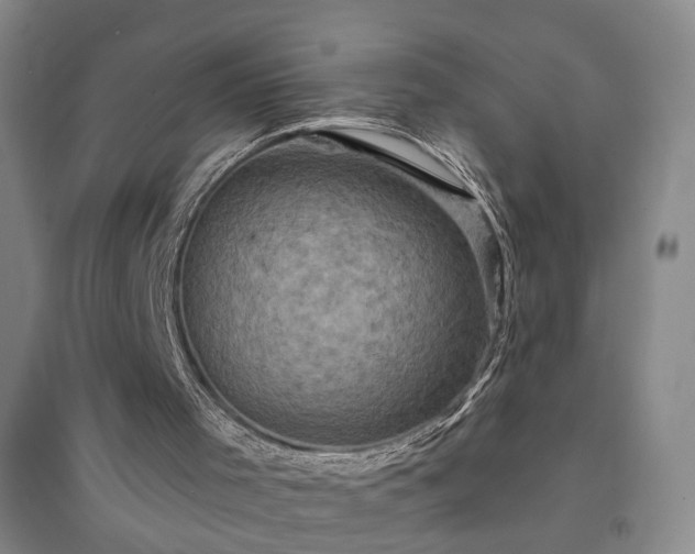 X0000094420001200711151330
