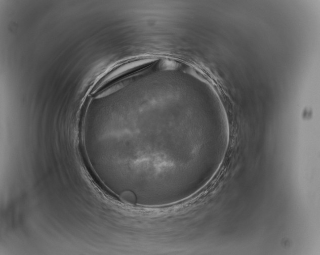 X0000094420002200711151330