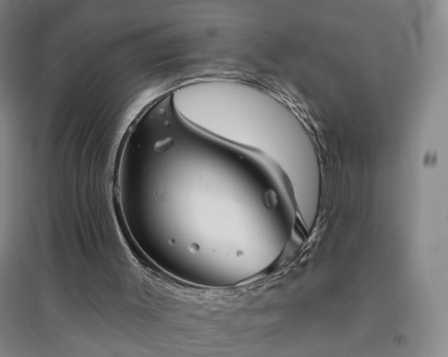 X0000094420003200711151330