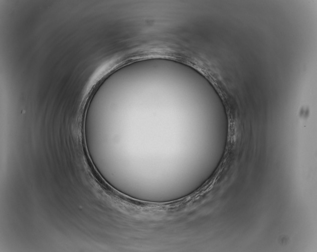 X0000094420004200711151330