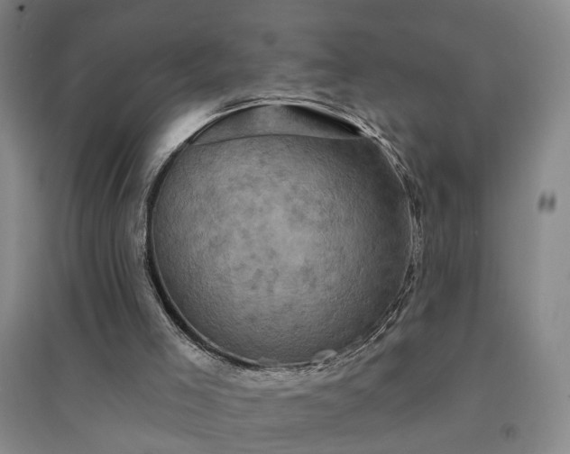 X0000094420005200711151330