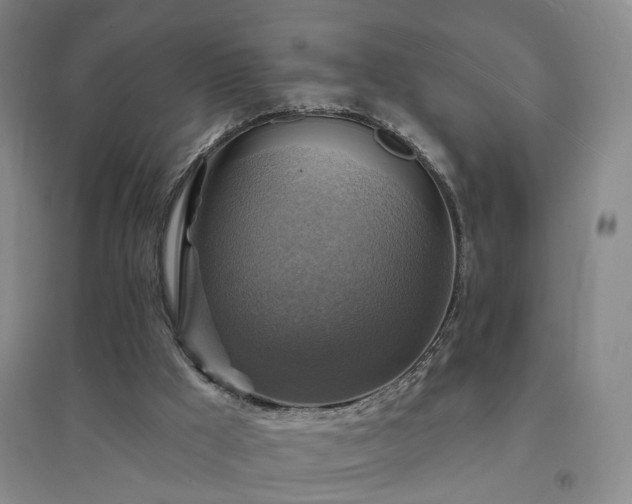 X0000094420009200711151330