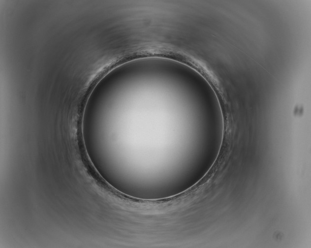 X0000094420010200711151330