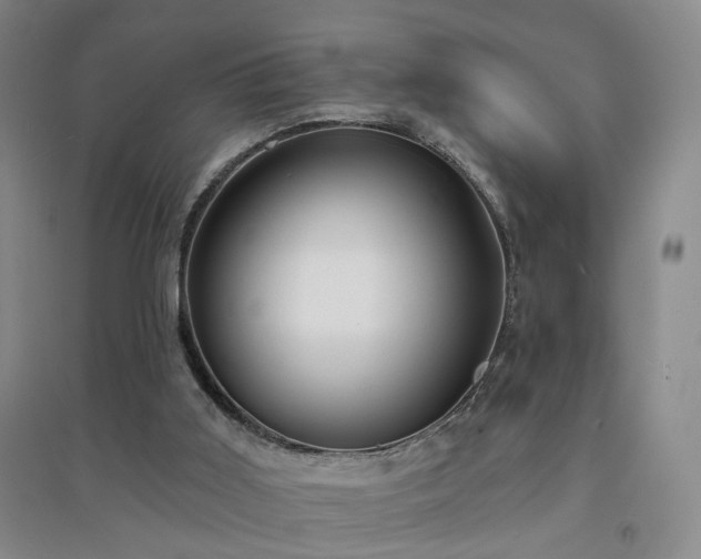 X0000094420011200711151330