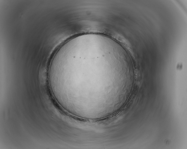 X0000094420012200711151330