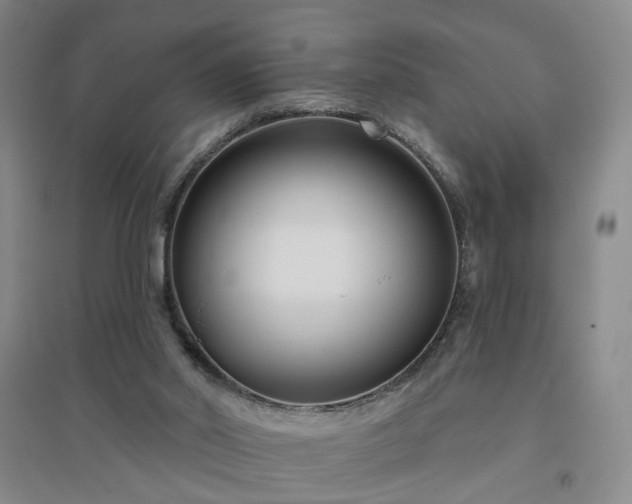 X0000094420014200711151330
