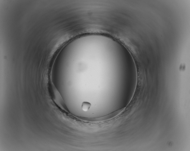 X0000094420015200711151330
