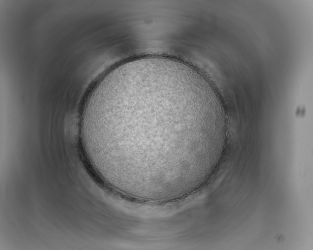 X0000094420016200711151330