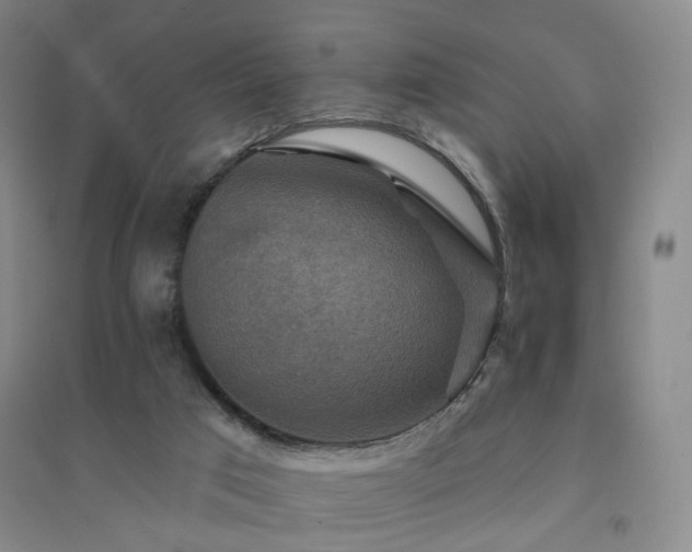 X0000094420017200711151330