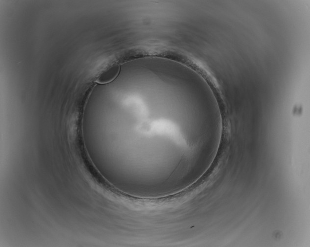 X0000094420018200711151330