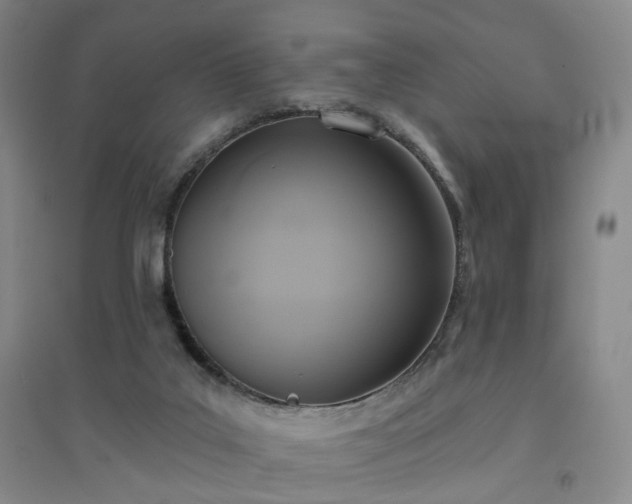 X0000094420019200711151330
