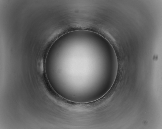 X0000094420020200711151330