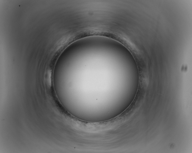 X0000094420022200711151330