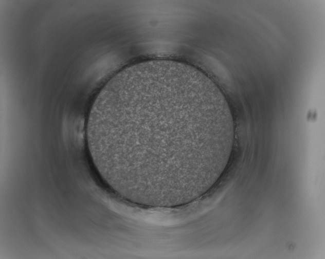 X0000094420024200711151330