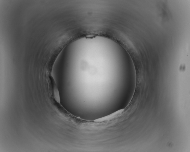 X0000094420025200711151330