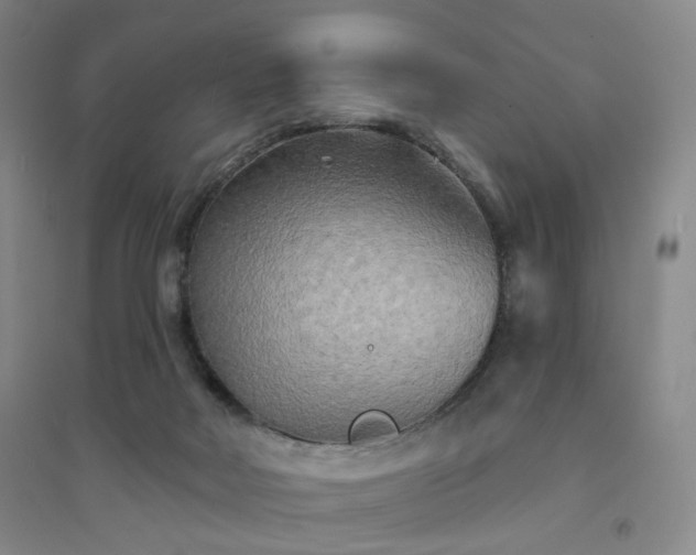 X0000094420026200711151330