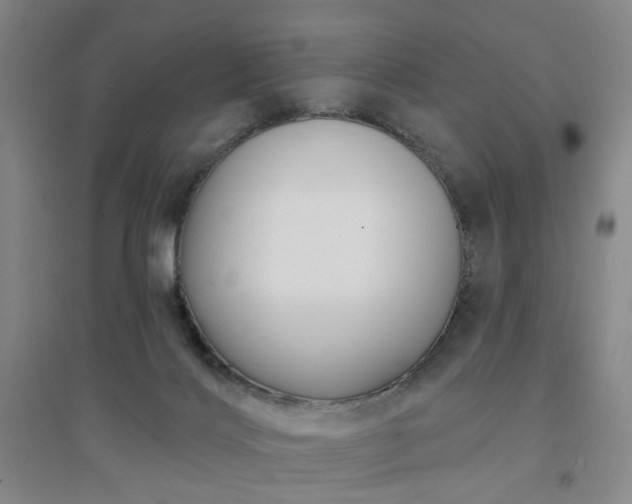 X0000094420028200711151330