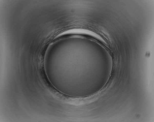 X0000094420029200711151330