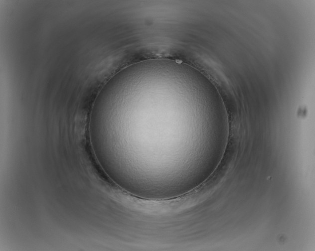 X0000094420030200711151330
