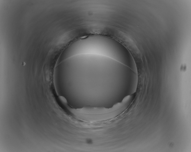 X0000094420031200711151330