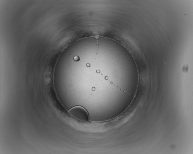 X0000094420032200711151330