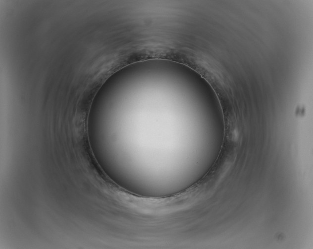 X0000094420034200711151330
