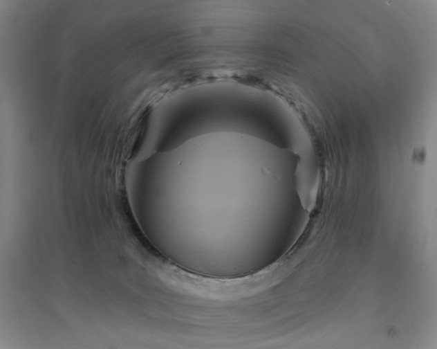 X0000094420035200711151330