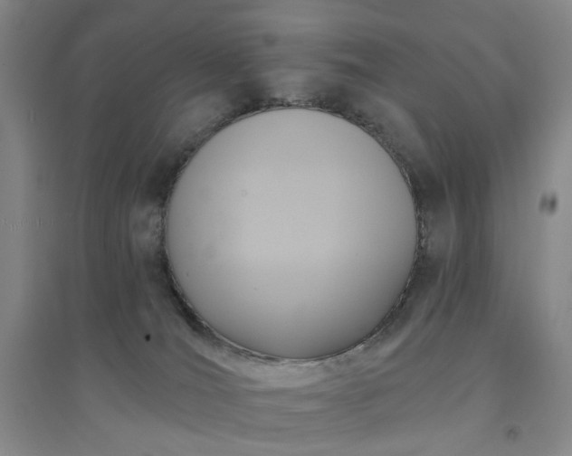 X0000094420036200711151330