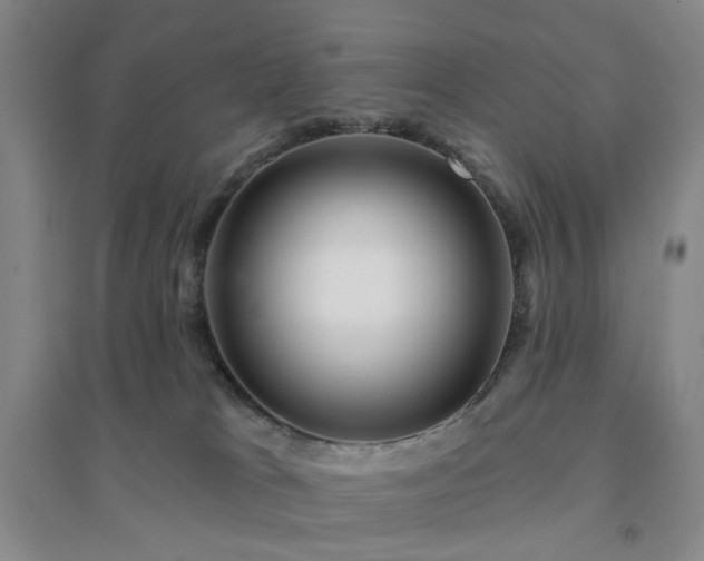 X0000094420037200711151330