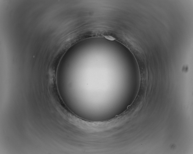 X0000094420038200711151330