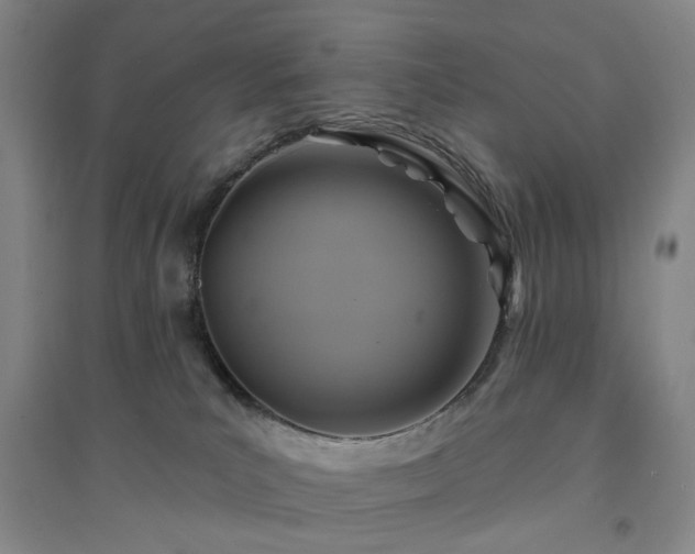 X0000094420039200711151330