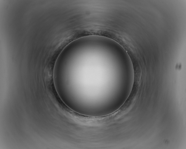 X0000094420040200711151330