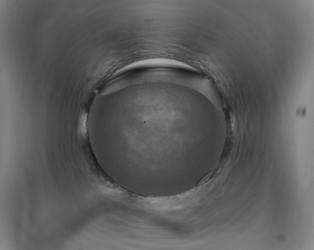 X0000094420041200711151330