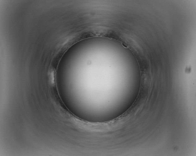 X0000094420042200711151330