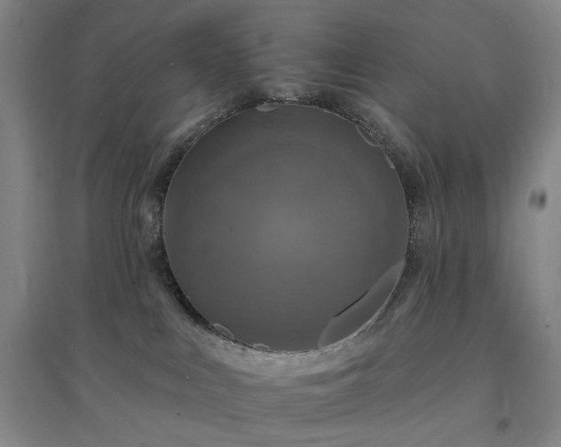 X0000094420043200711151330