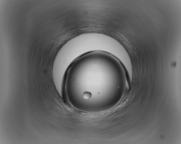 X0000094420045200711151330