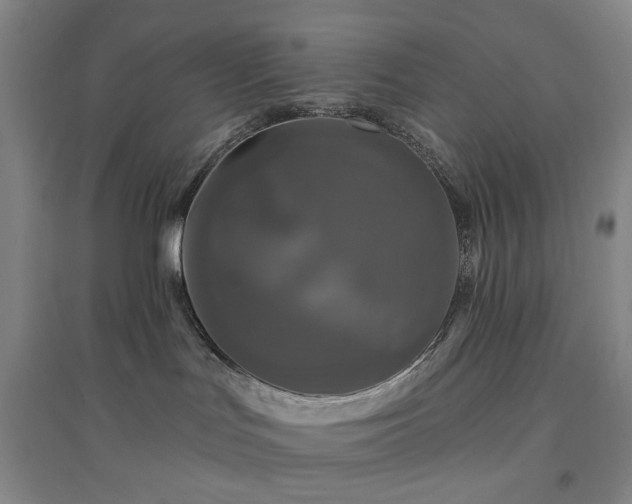 X0000094420047200711151330