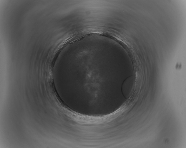 X0000094420048200711151330