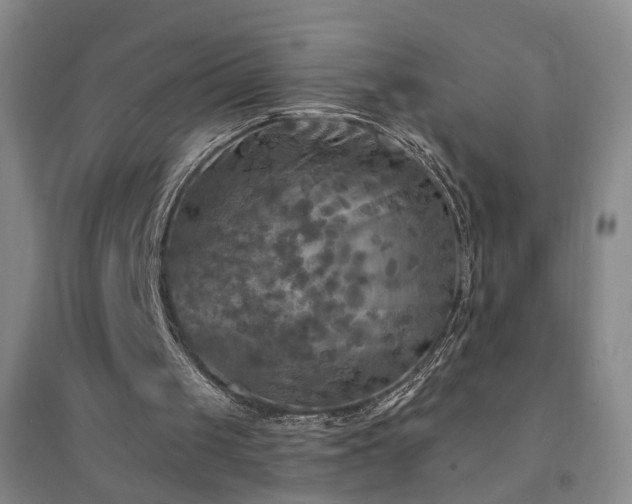 X0000094420049200711151329